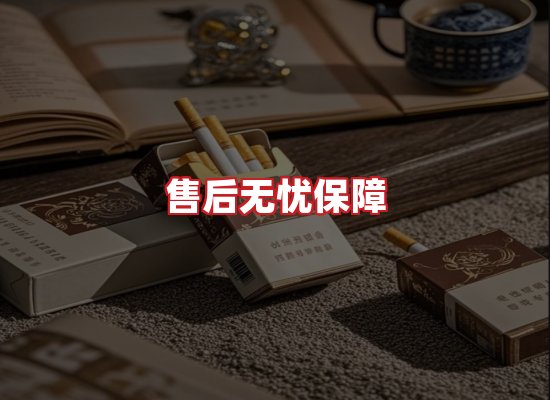 专业团队